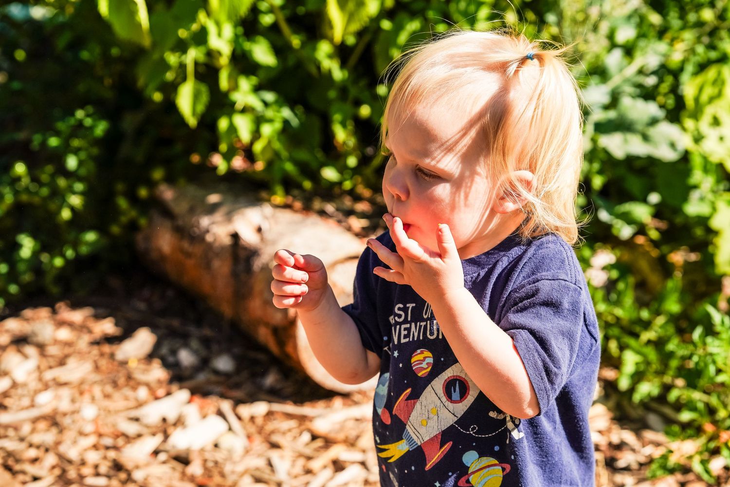 Blonde toddler boy in navy space t-shirt eating a red berry outdoors in a sunny garden setting.
