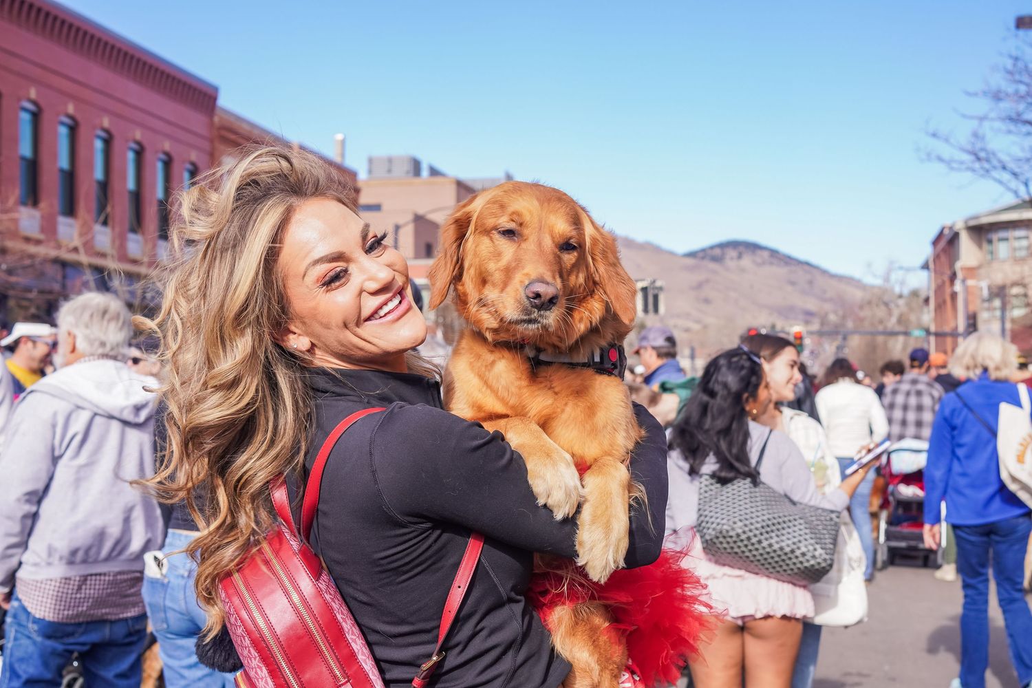 A golden retriever dog excitedly greets and kisses someone on a sunny day in an urban setting.