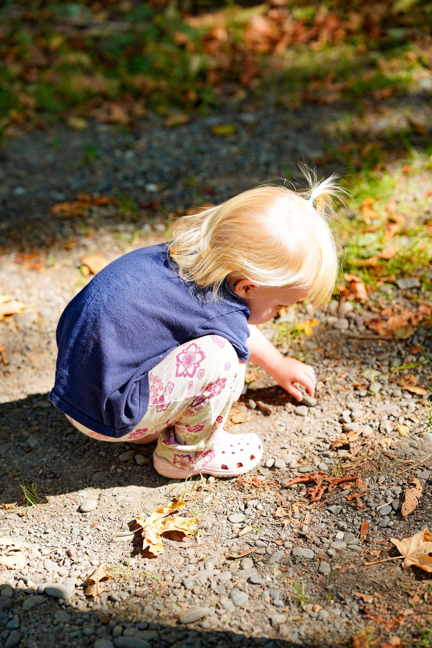 Blonde toddler girl crouching outdoors on gravel path, picking up small objects among fallen autumn leaves.