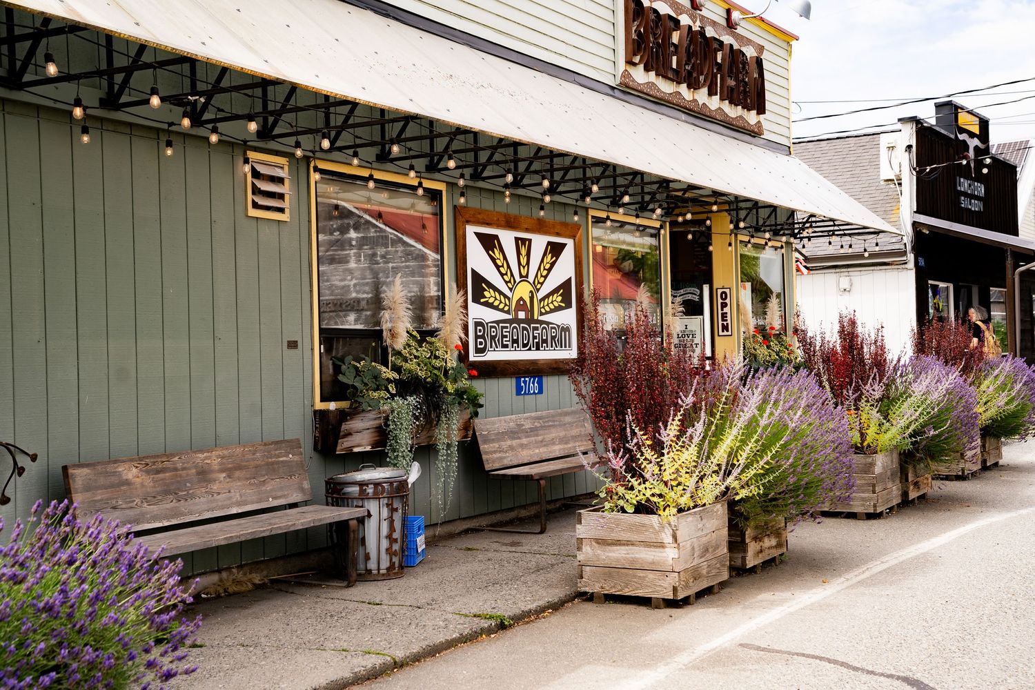 Charming rustic storefront with wooden benches, potted lavender plants, and string lights along a quaint small-town street.