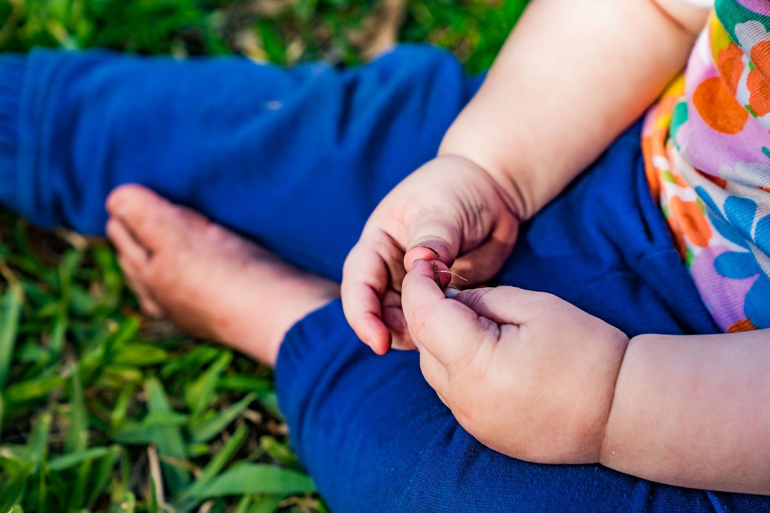 A photo of a little girls hands and blue pants sitting on the grass.