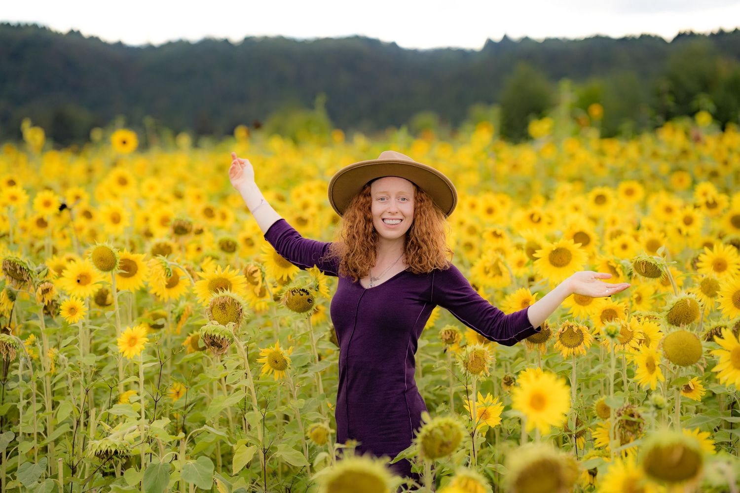 sunflower field flower session in Washington