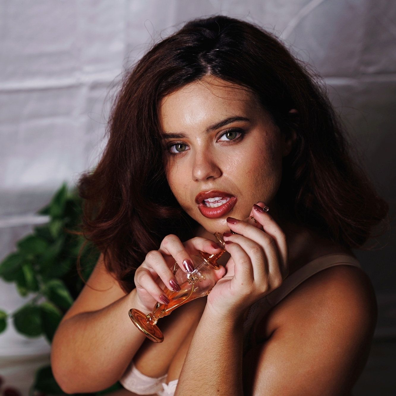 A photo of a woman looking sexily at the camera, she has brown hair and big red lips.