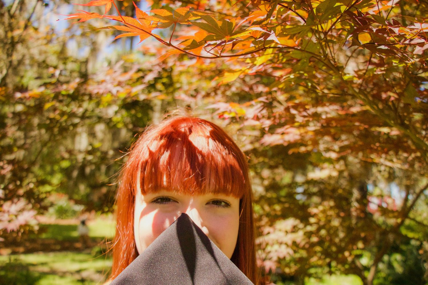 Red-haired woman hiding behind gray fabric outdoors among colorful autumn Japanese maple trees.