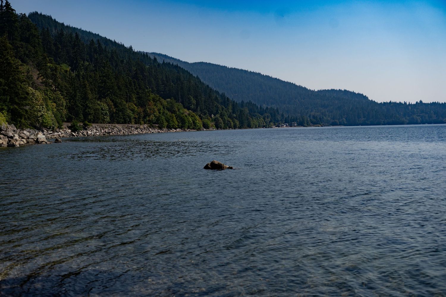 Calm lake with a rocky shoreline, dense evergreen forest, and mountain backdrop under a clear blue sky.