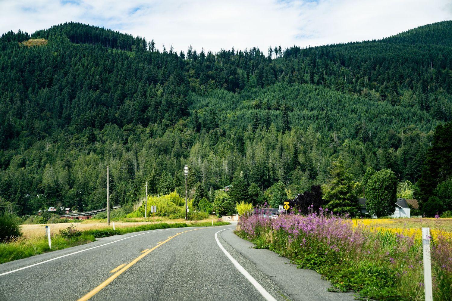 A winding two-lane highway curves through lush green forest hills with wildflowers blooming along the roadside.