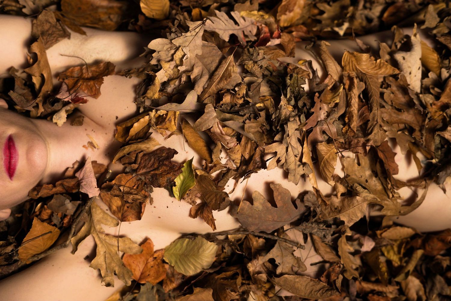 A photo of a woman laying on the ground in the brown leaves, there is some red lipstick on her lips.