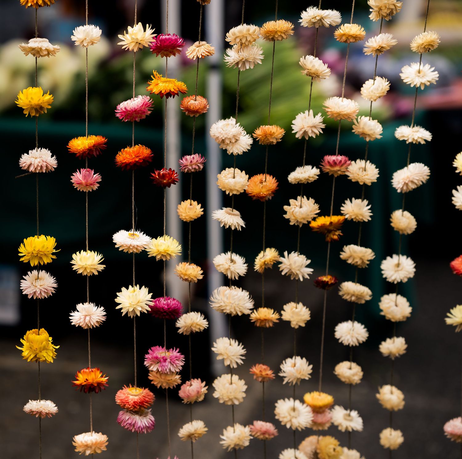 Colorful dried flower garlands hanging in rows, featuring pink, yellow, and cream blooms as decorative display.