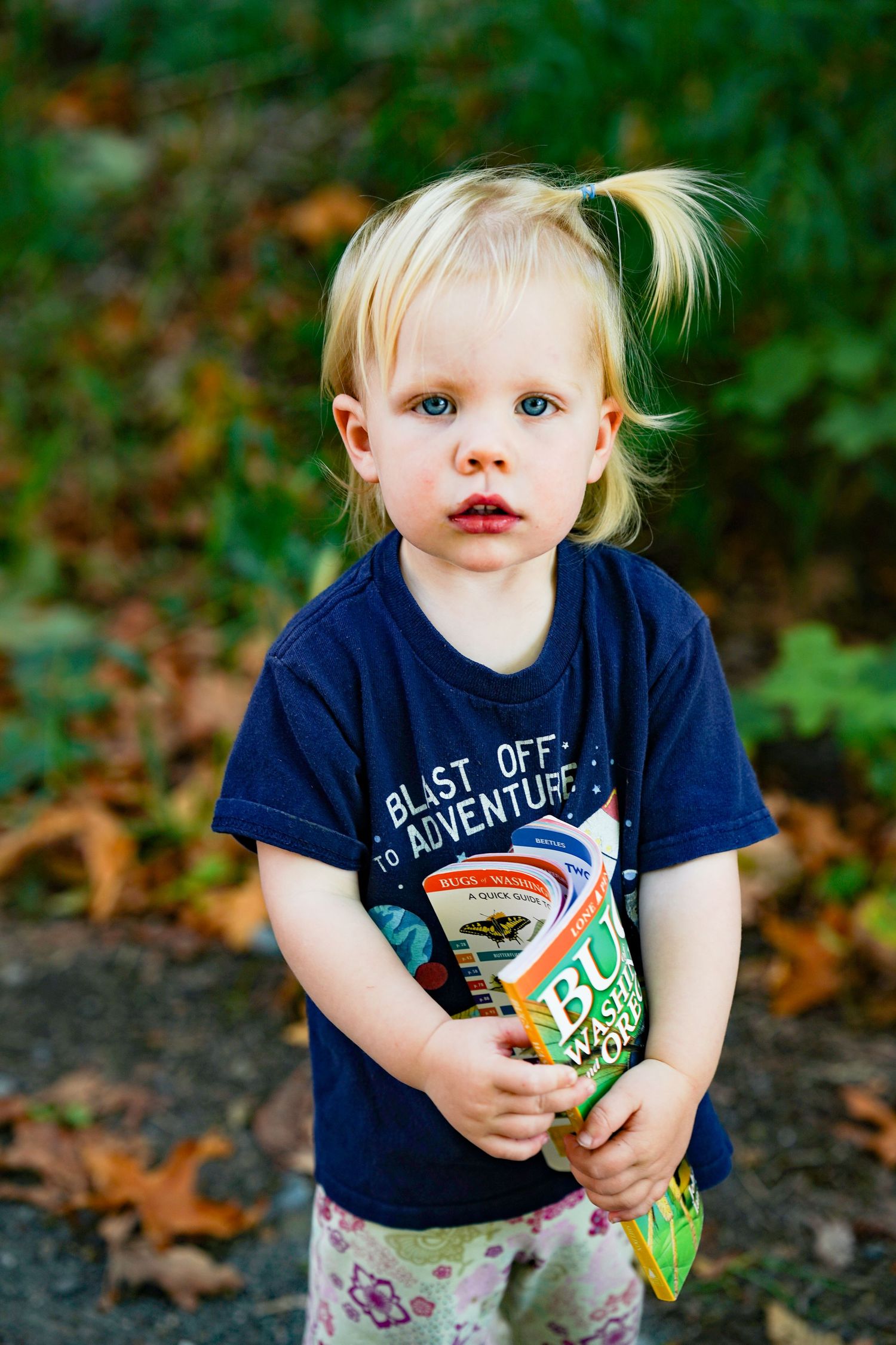 Blonde toddler girl with pigtail wearing navy blue shirt holding a book outdoors among fallen autumn leaves.