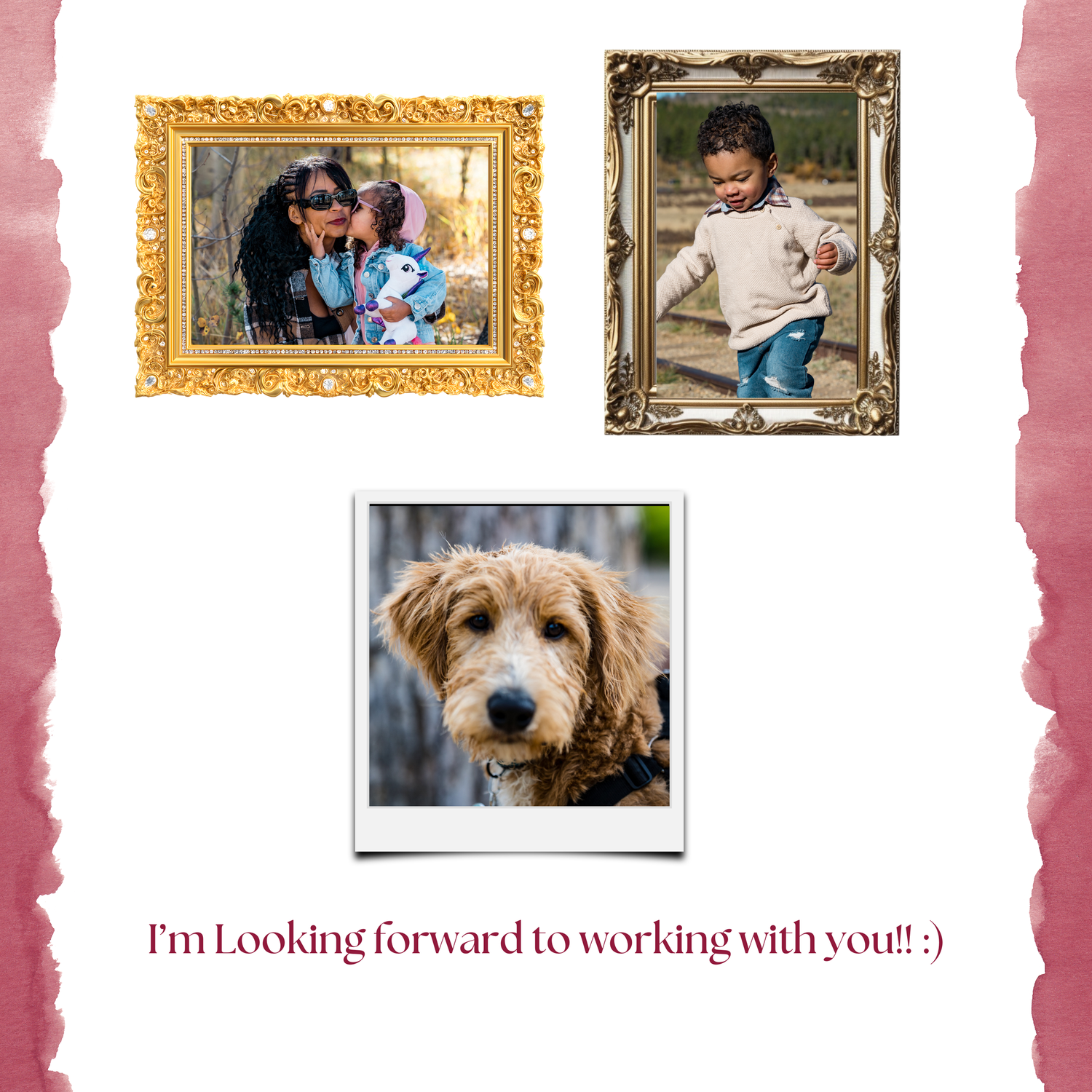 A collage of pet photography images displayed in ornate gold frames against a pink and white torn paper background.