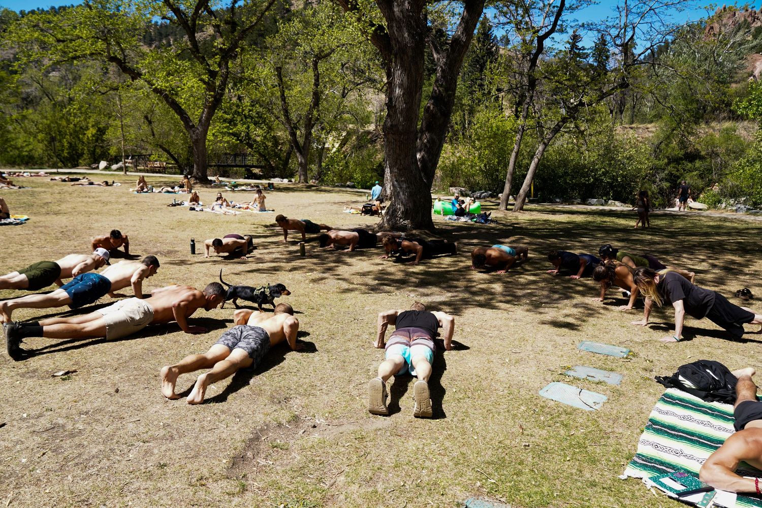 Group of people doing push-ups outdoors in a sunny park surrounded by trees and mountains.