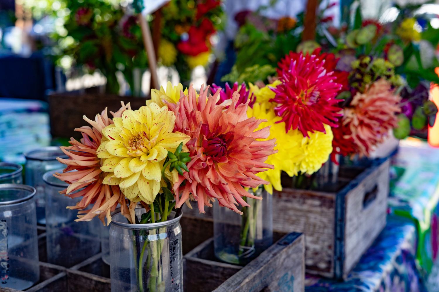 Colorful dahlia flowers in glass jars displayed in rustic wooden crates at an outdoor farmers market.
