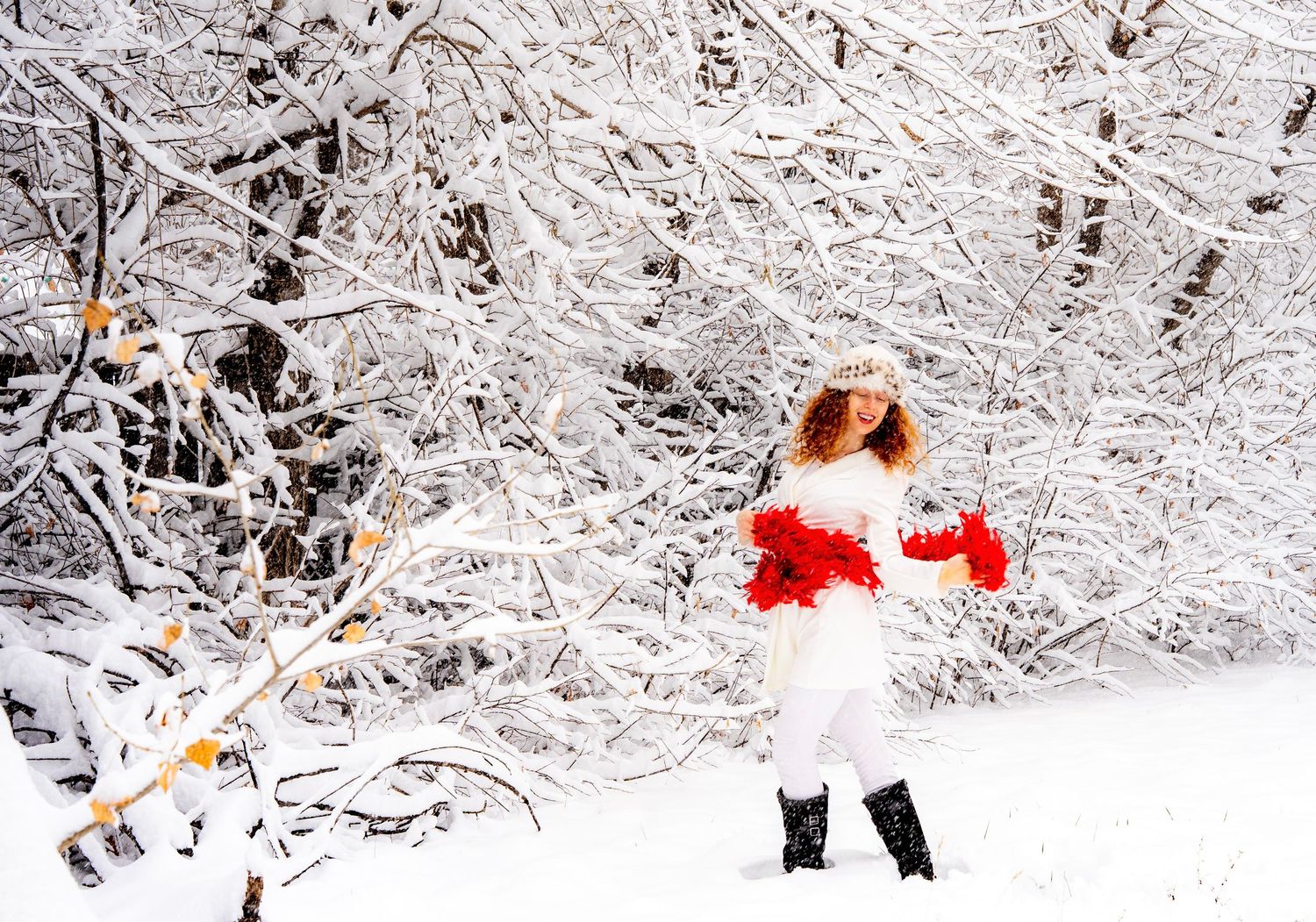 A snowy winter landscape with a small red cardinal bird perched on a snow-covered branch.