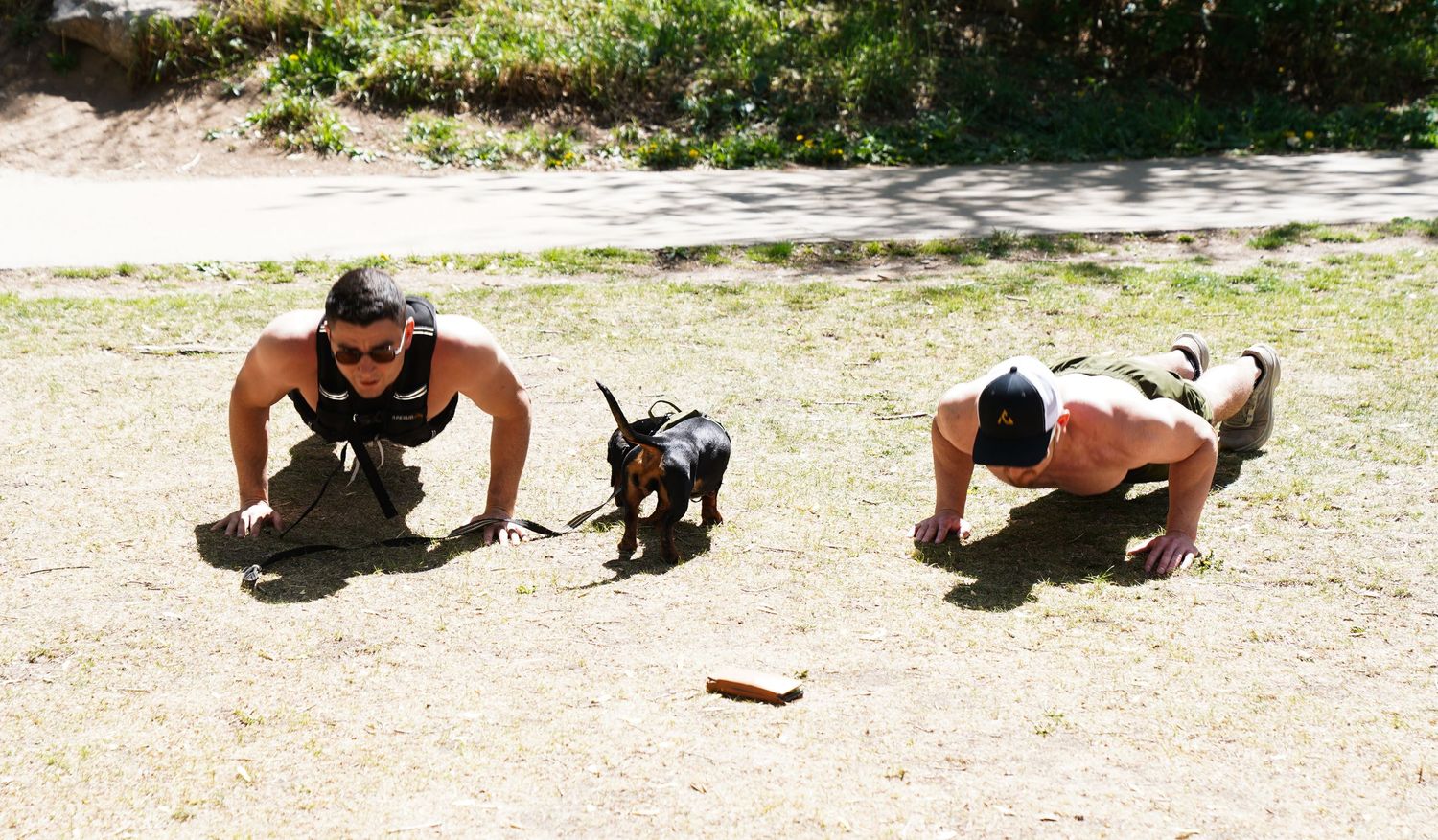 Two shirtless men doing push-ups outdoors with small dog between them.
