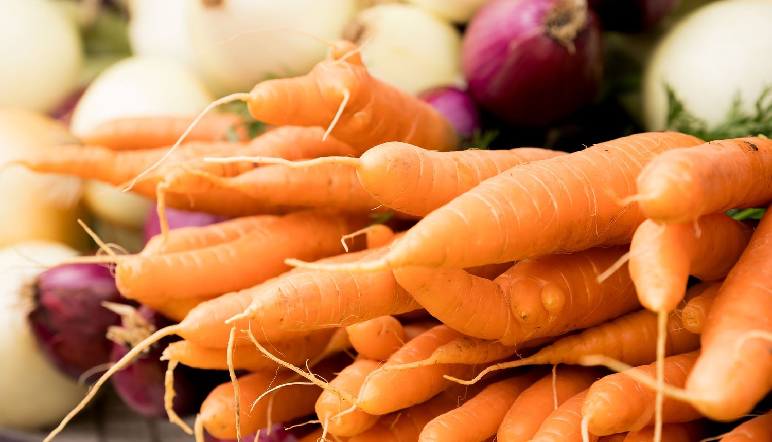 Fresh organic carrots piled high at a farmers market with red and white onions in the background.