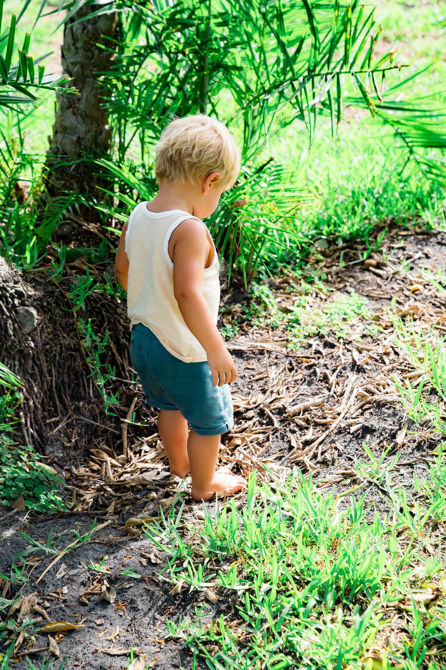 A little boy is standing in nature and contemplating himself as he is exploring the world.