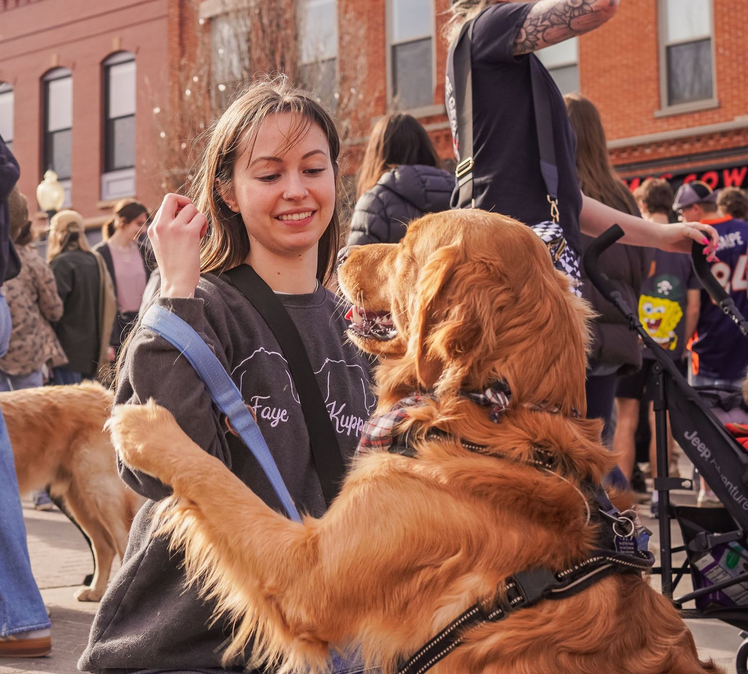 A golden retriever dog performs tricks with a person on a city sidewalk during a sunny day.