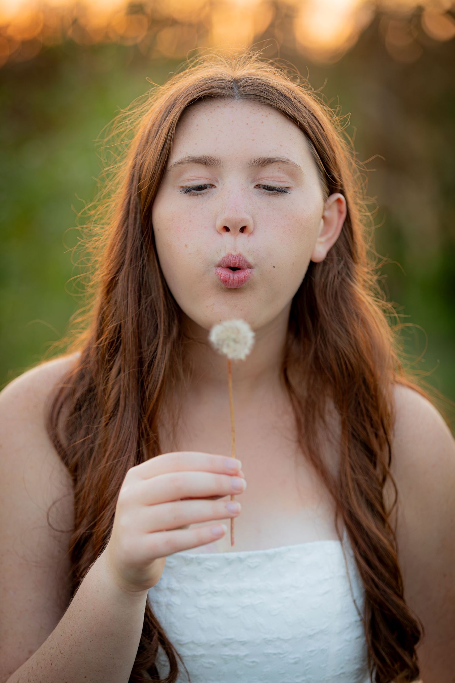 A sequence of photos showing a dandelion being blown in the sunlight creating a dreamy outdoor scene.