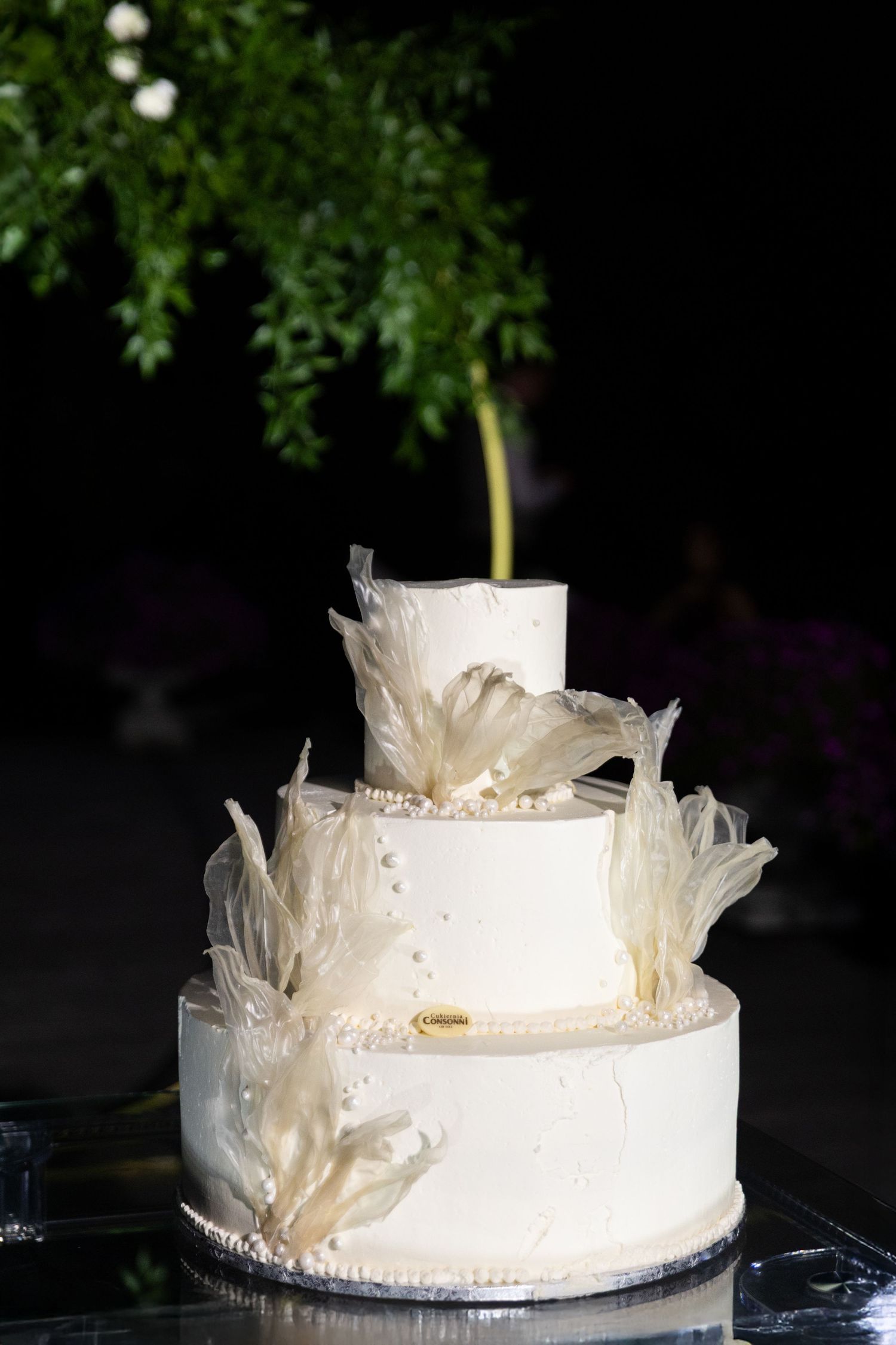 White wedding cake decorated with delicate feather-like details and navy blue trim displayed against a dark background.