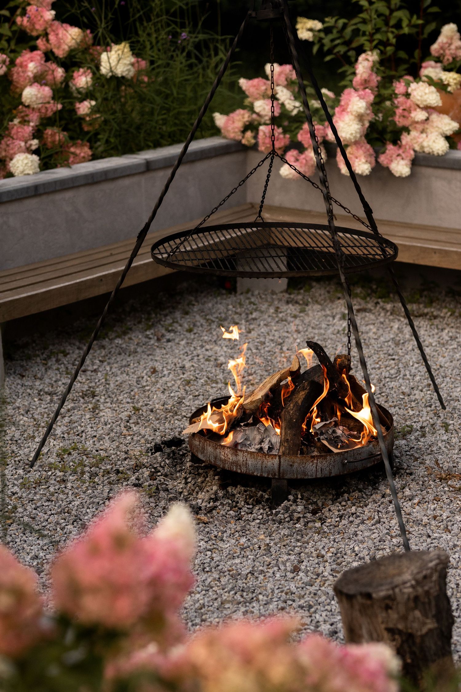 A cozy outdoor fire pit with glowing flames surrounded by blooming pink and white roses in the garden.