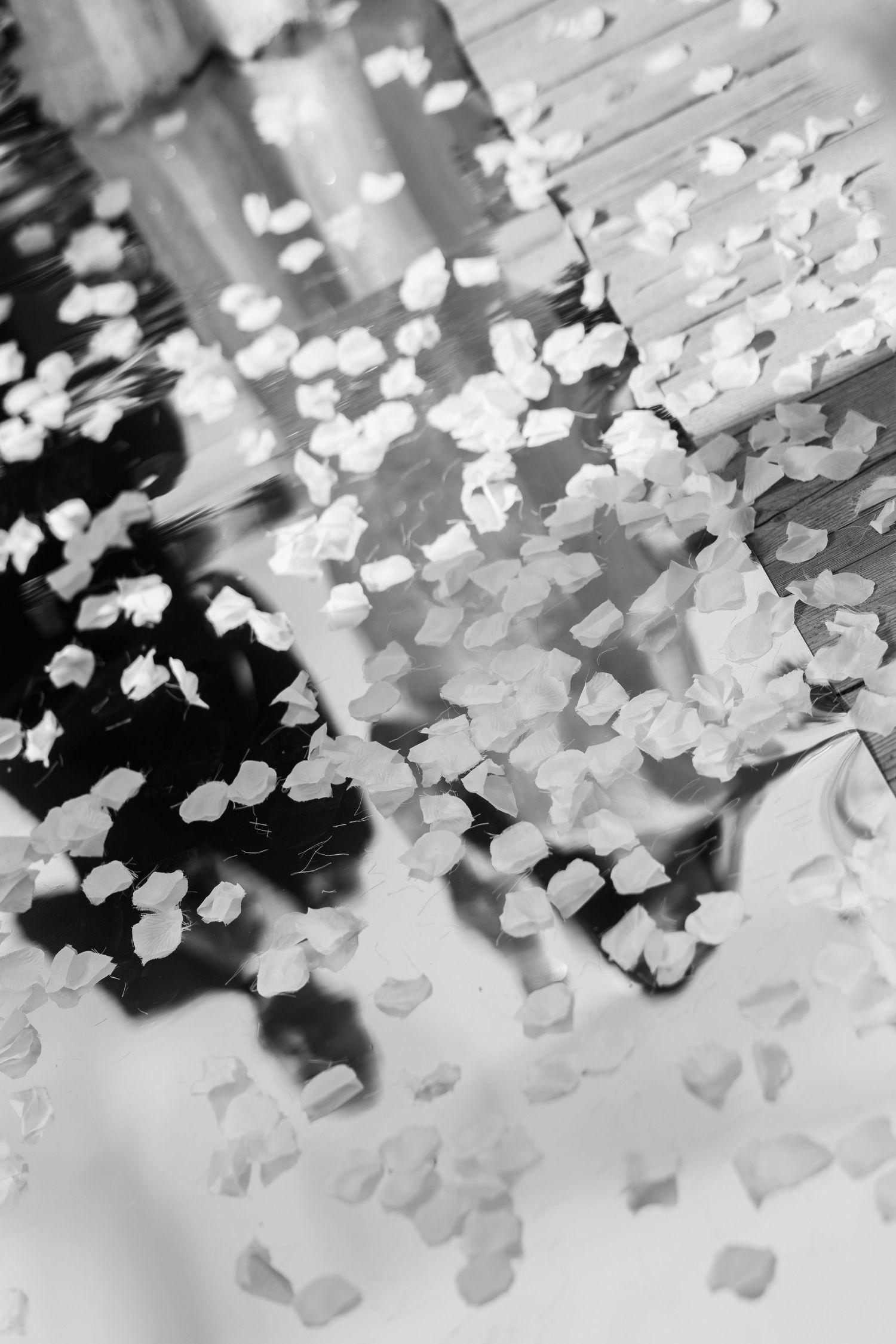 Black and white photo of white flower petals scattered on the ground at a wedding ceremony aisle.