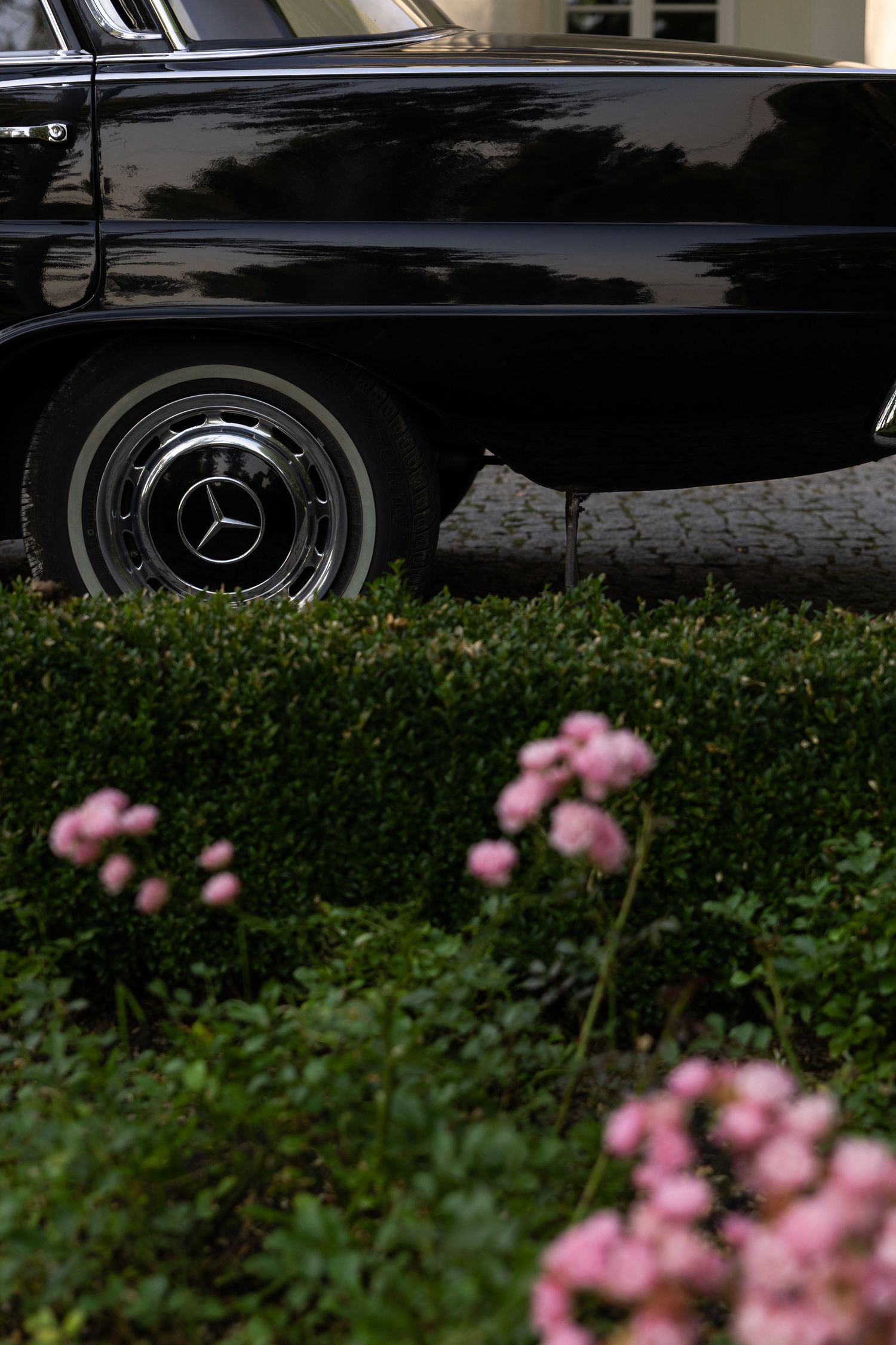 A black Mercedes-Benz car parked behind pink flowers and green hedges creates an elegant contrast.