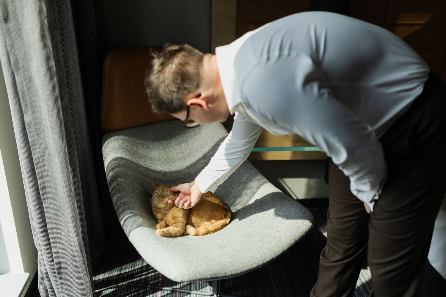 Someone wearing a gray sweater leans down to pet a sleeping ginger cat curled up on a white cushion near a window.