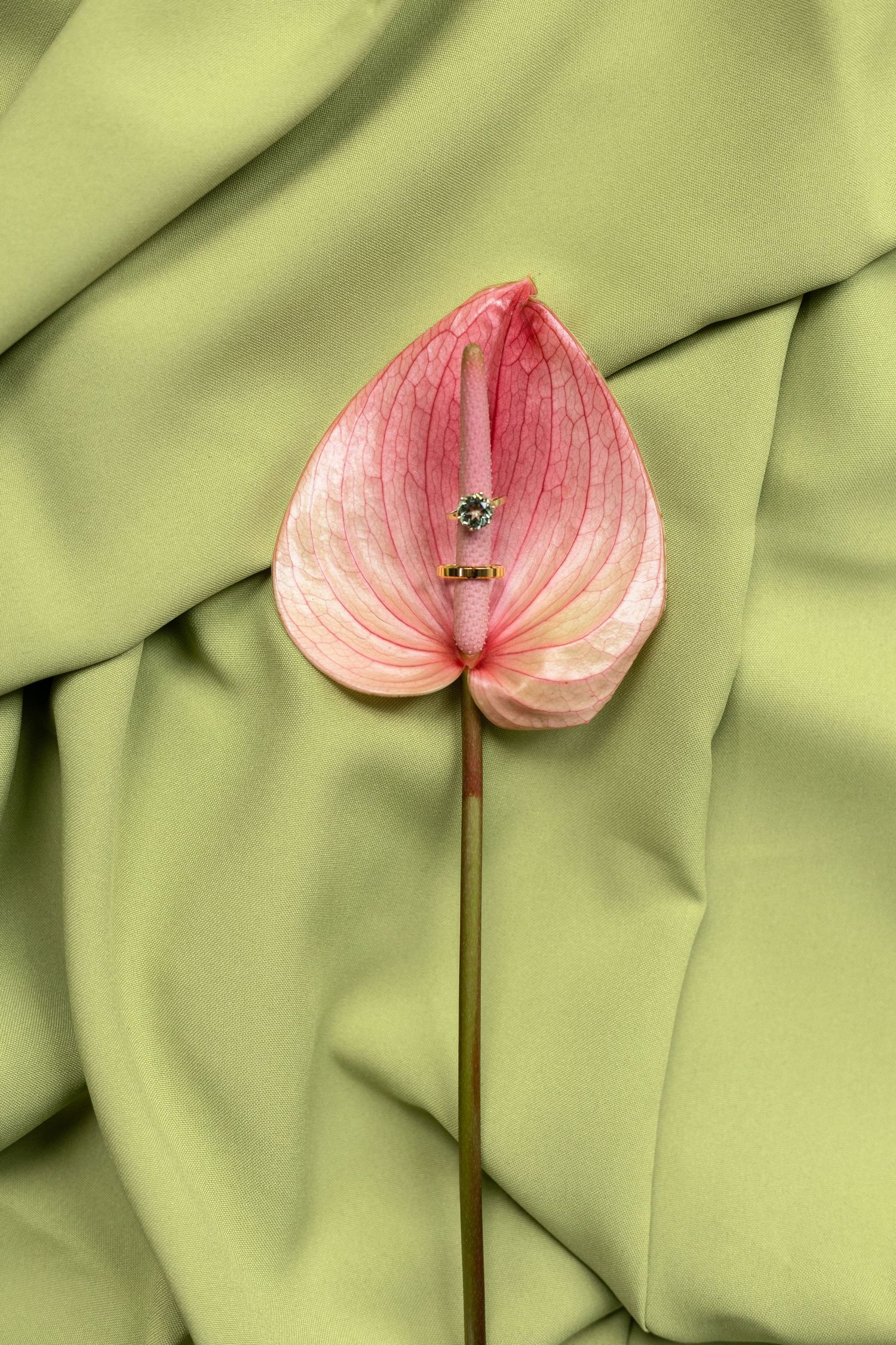 Pink anthurium flower with two gold wedding rings resting on green draped fabric background.