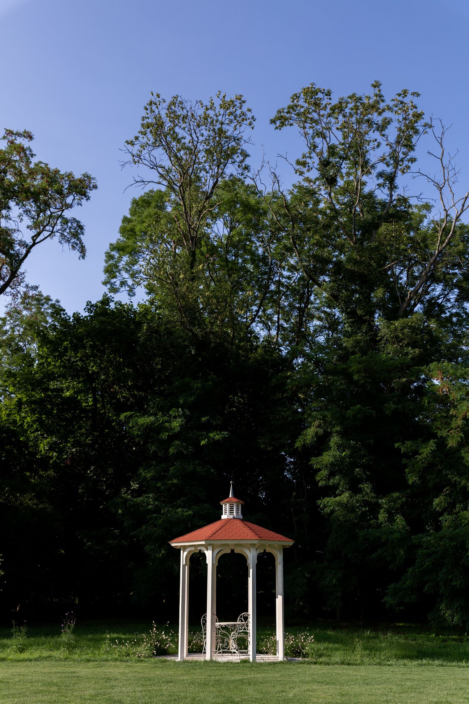 A white gazebo with copper roof stands in a serene green field surrounded by tall trees on a sunny day.