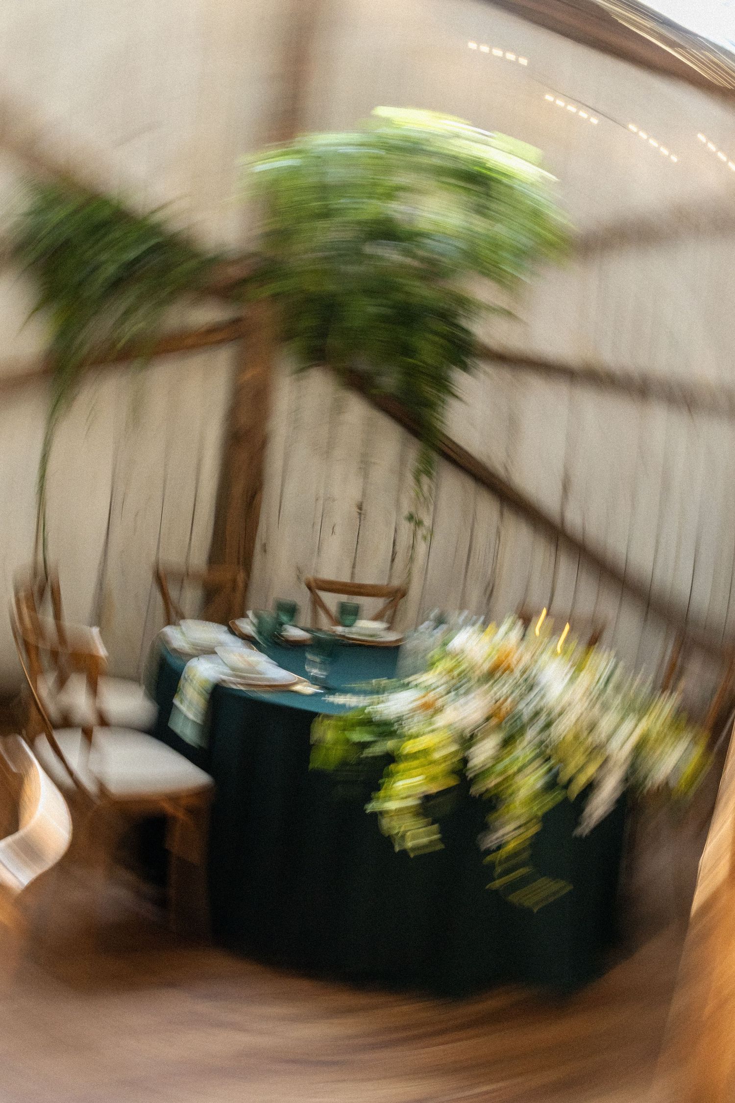 Blurred motion effect photo of indoor furniture and plants with a spinning camera motion effect.