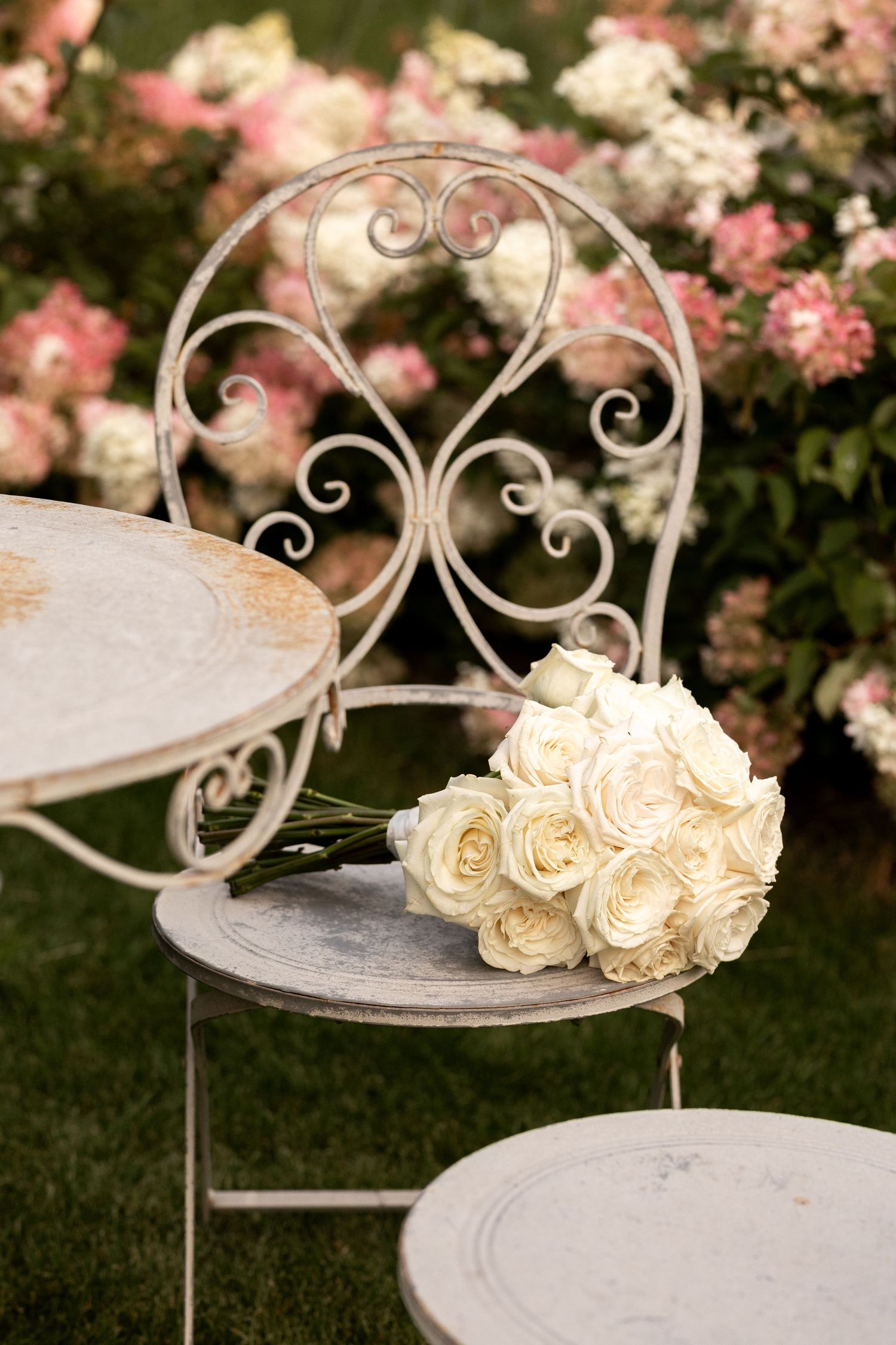A bouquet of cream roses rests on an ornate vintage white metal garden chair with scrollwork details near blooming flowers.