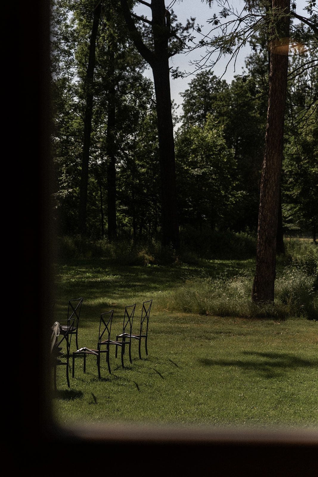Black folding chairs set up in neat rows on a grassy area surrounded by tall trees in a woodland setting.
