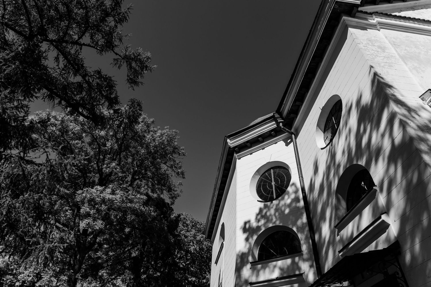 Black and white low angle view of a church facade with a round clock window and tree shadow cast on white wall.
