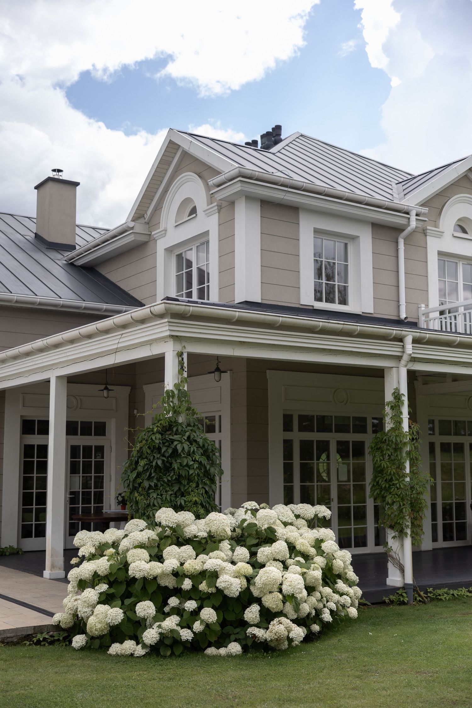 Elegant white colonial home with wraparound porch, metal roof, and lush white hydrangea bushes in front garden.