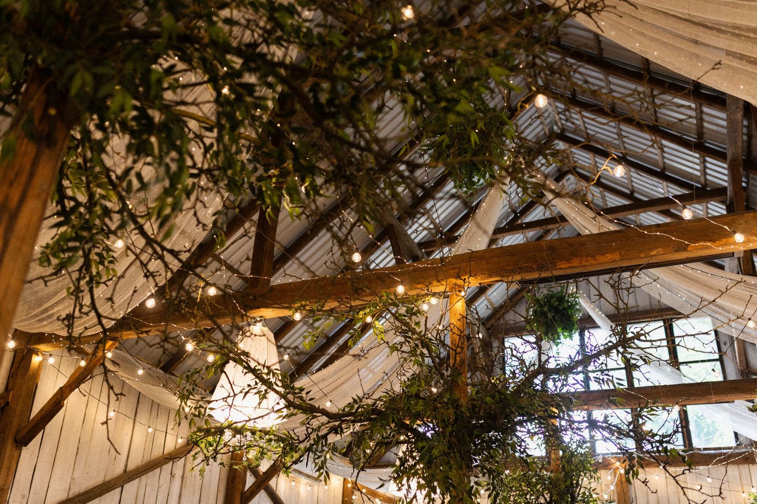 String lights hang from rustic wooden beams under a glass ceiling with green foliage intertwined throughout.