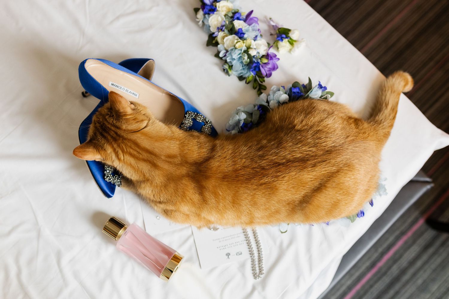 A ginger cat lies on white fabric next to blue high heels and floral bouquets.
