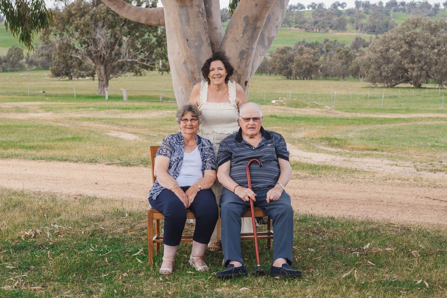 Three people sitting on wooden chairs under a large eucalyptus tree in a rural landscape.