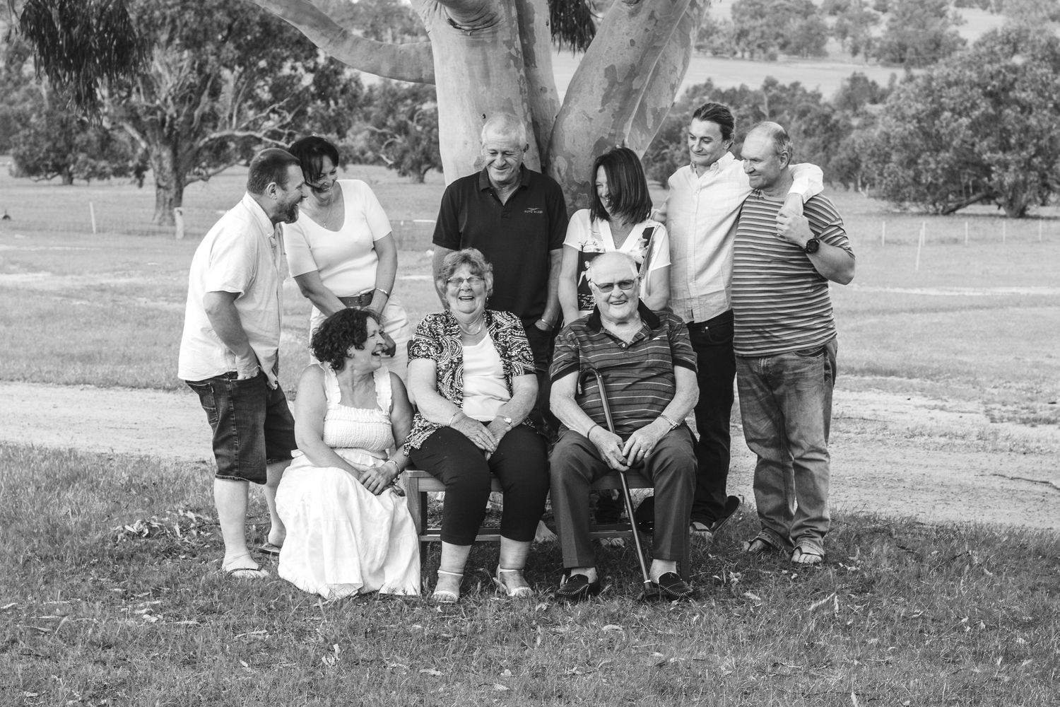 Multi-generational outdoor family portrait in black and white taken under a large tree.