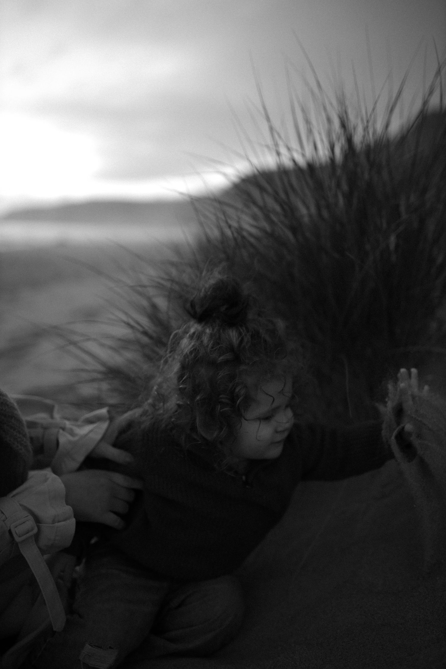 portrait
 Lifestyle family session near San Francisco