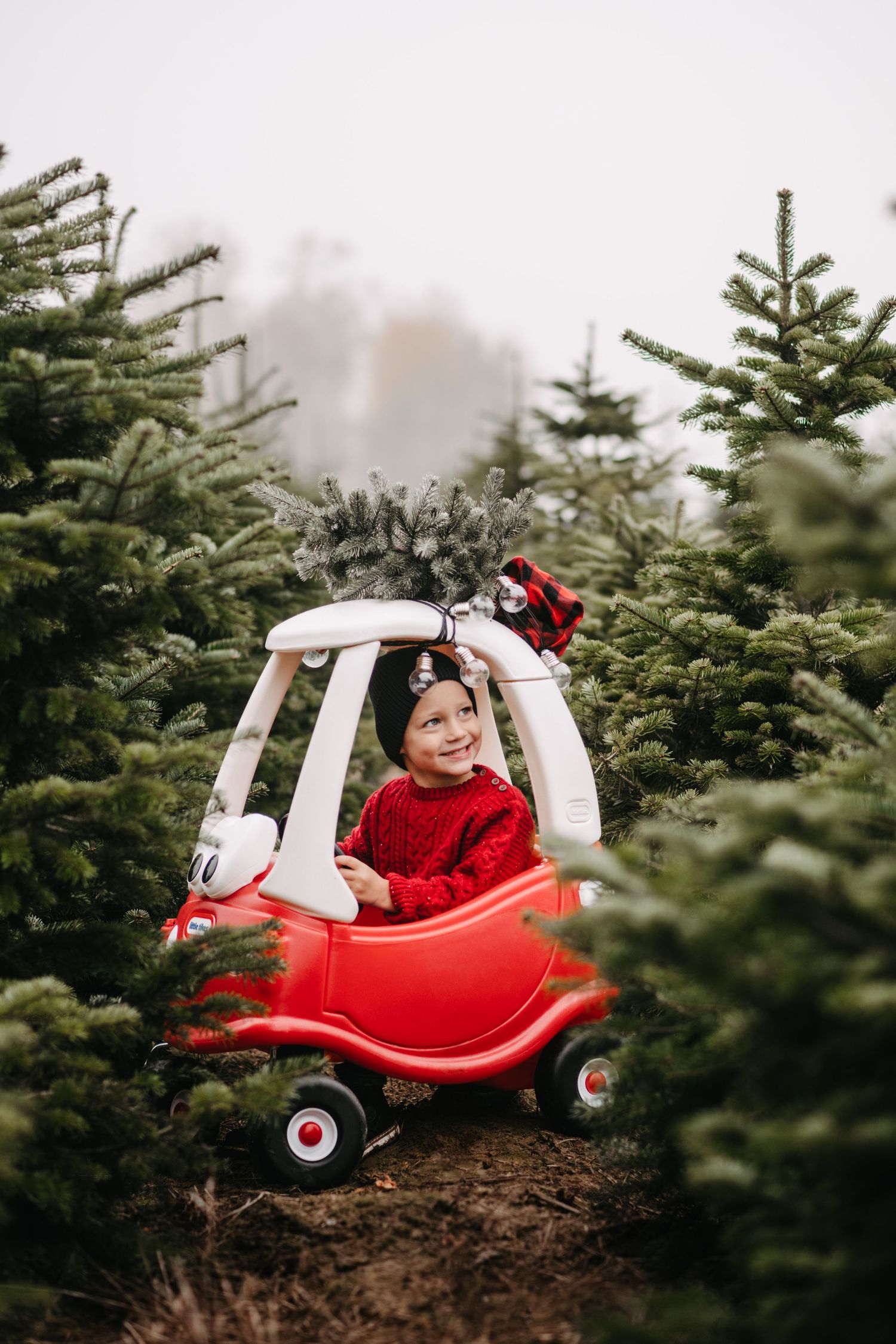 Red toy car parked among evergreen Christmas trees in a festive holiday scene.