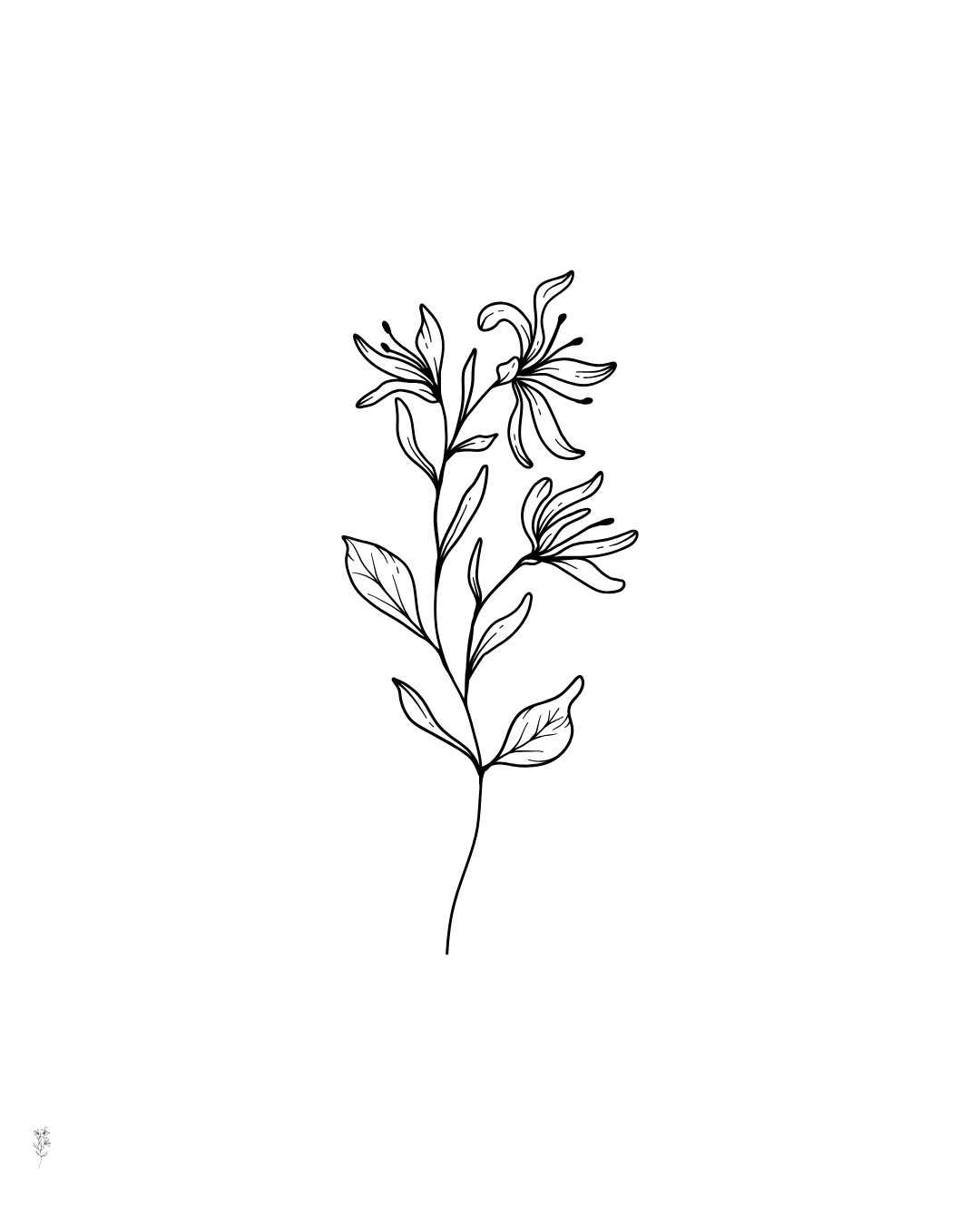 Minimalist line drawing of a flowering plant with delicate petals and leaves.