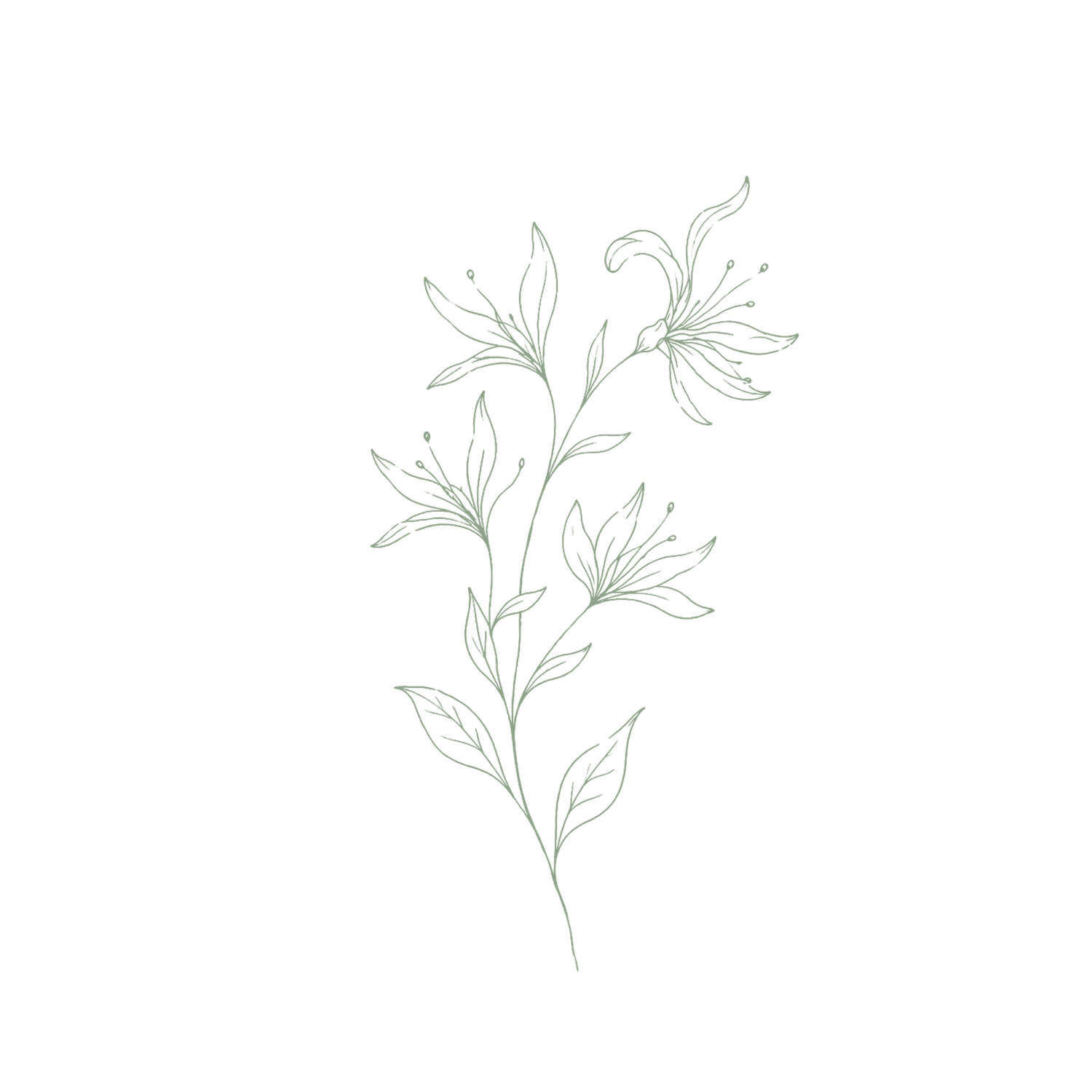 Minimalist green line art botanical illustration of lily flowers and leaves on white background.