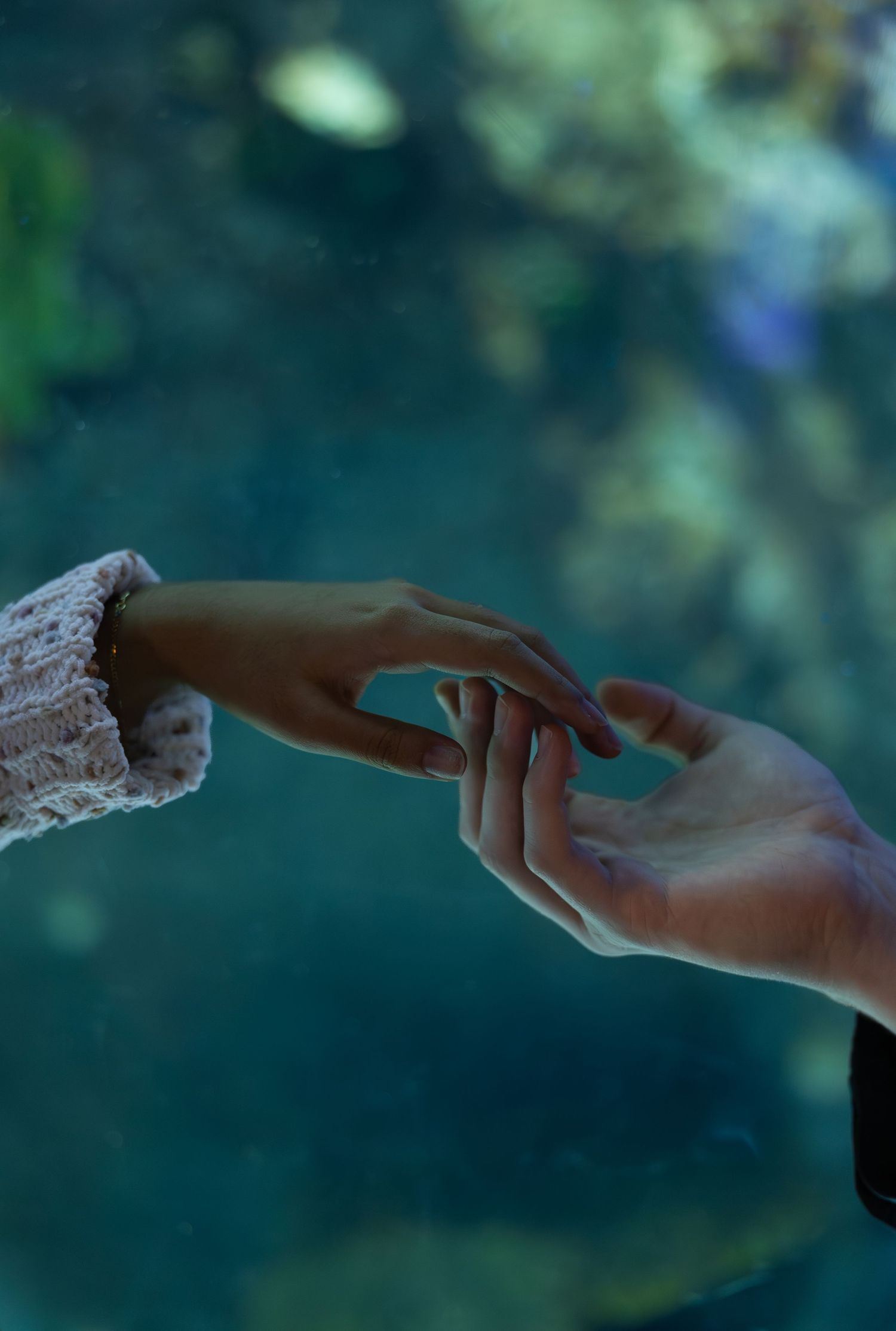 Two delicate hands reach towards each other with one wearing lace sleeve against a dreamy blue-green background.