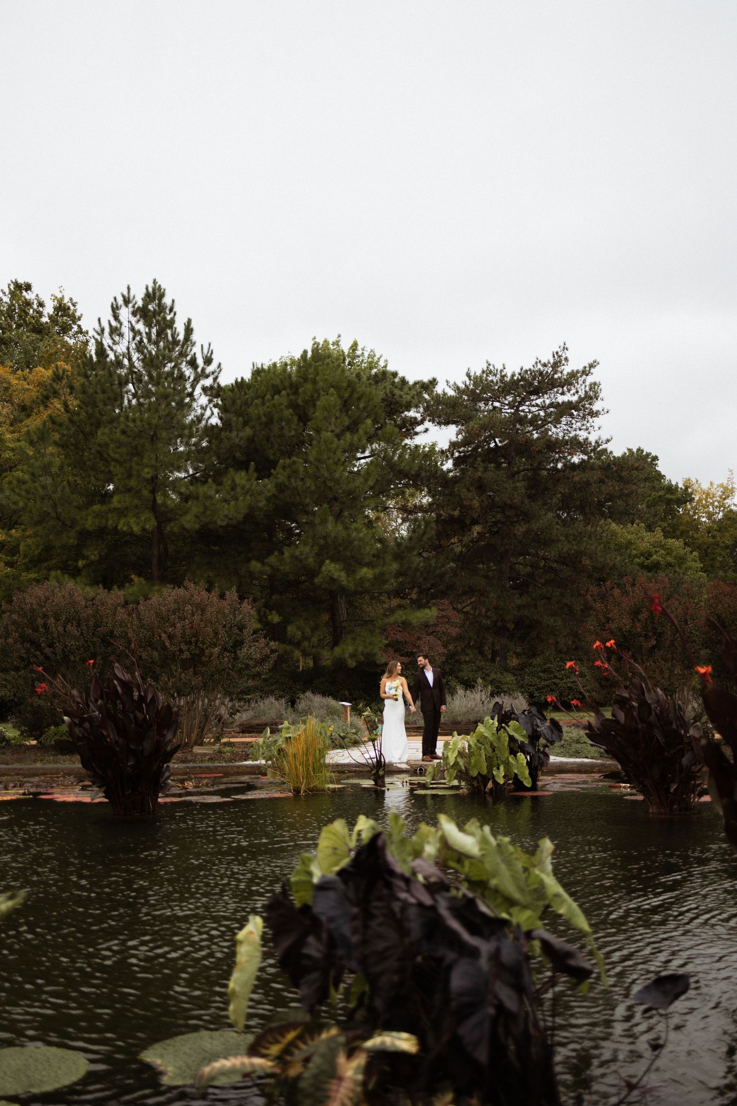 Wedding ceremony setting by a serene pond surrounded by pine trees.