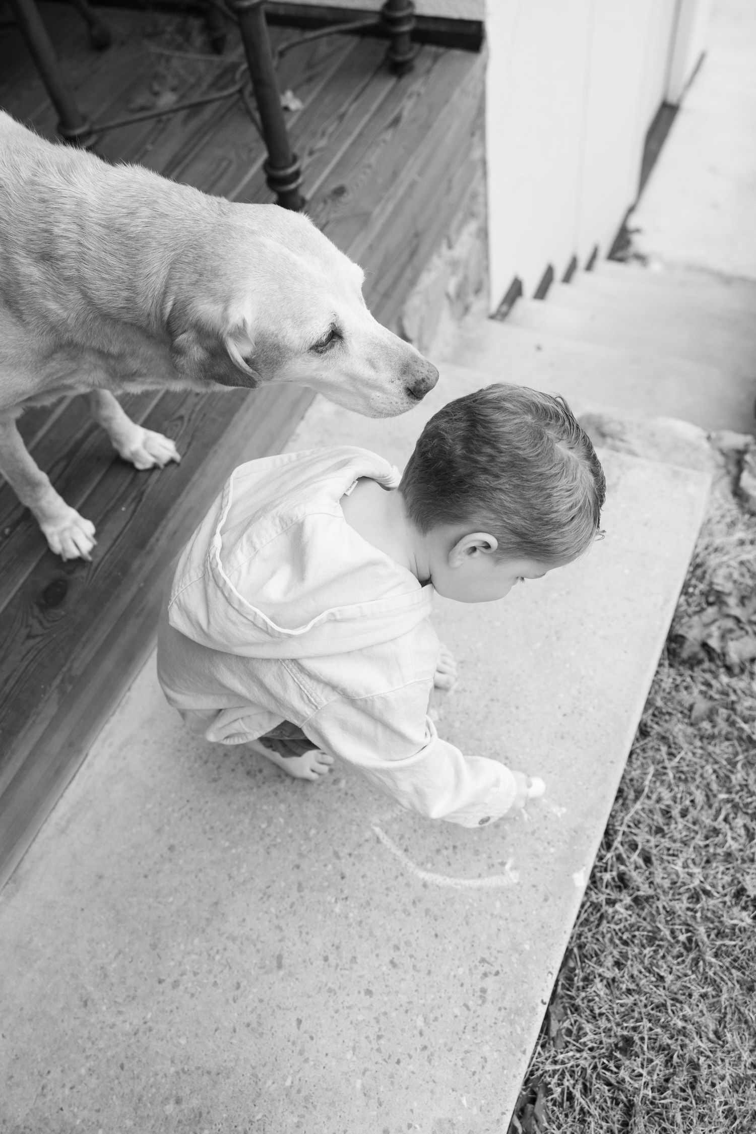 Dog watching small child drawing on outdoor concrete surface.