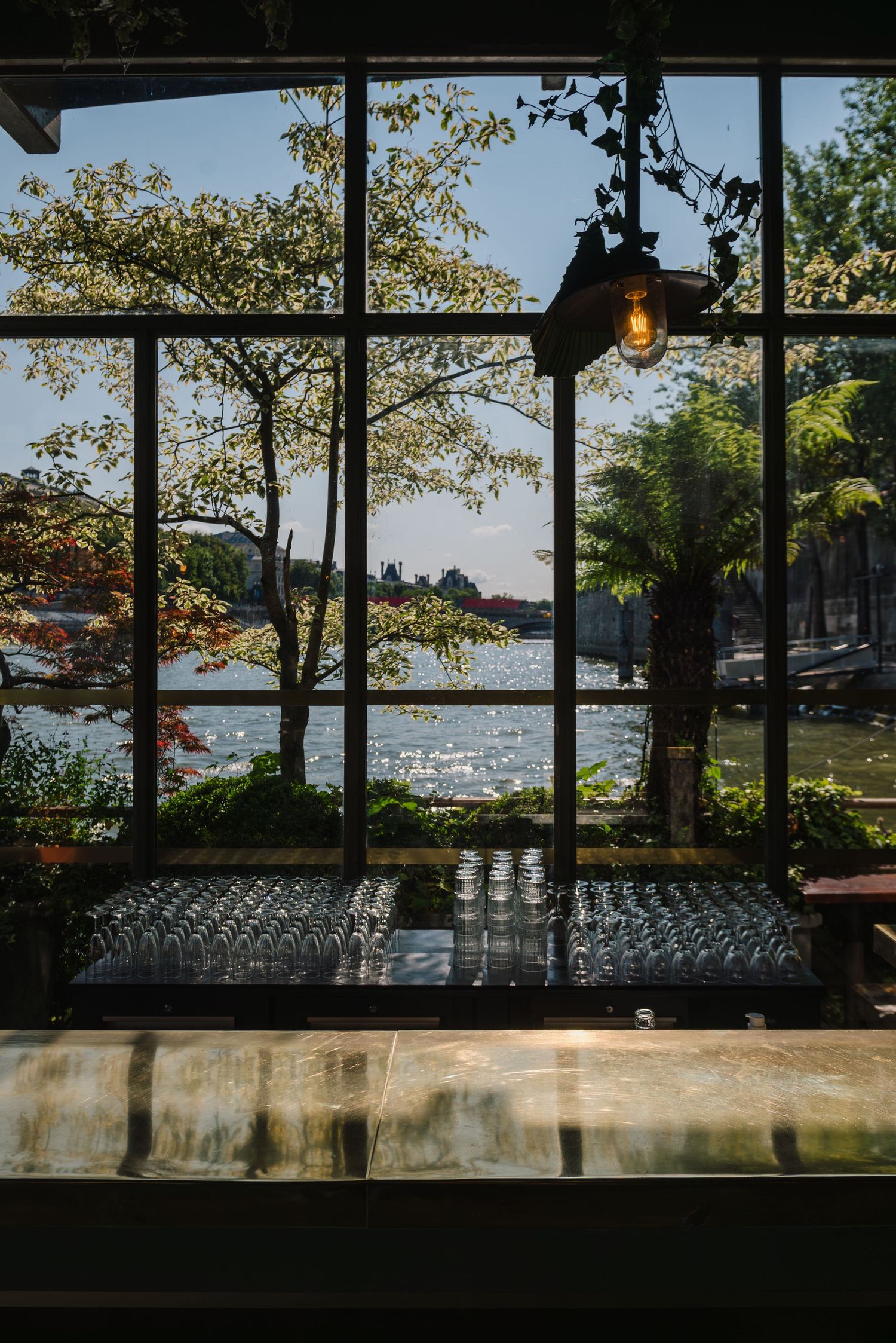 Panoramic view of a lakeside wedding ceremony setup with rows of white chairs and trees framing the waterfront vista.