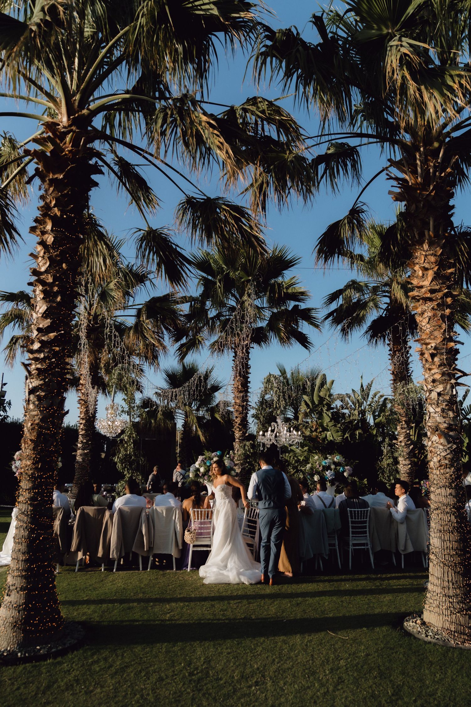 Wedding guests gather under palm trees at an outdoor reception venue with a beautiful blue sky backdrop.