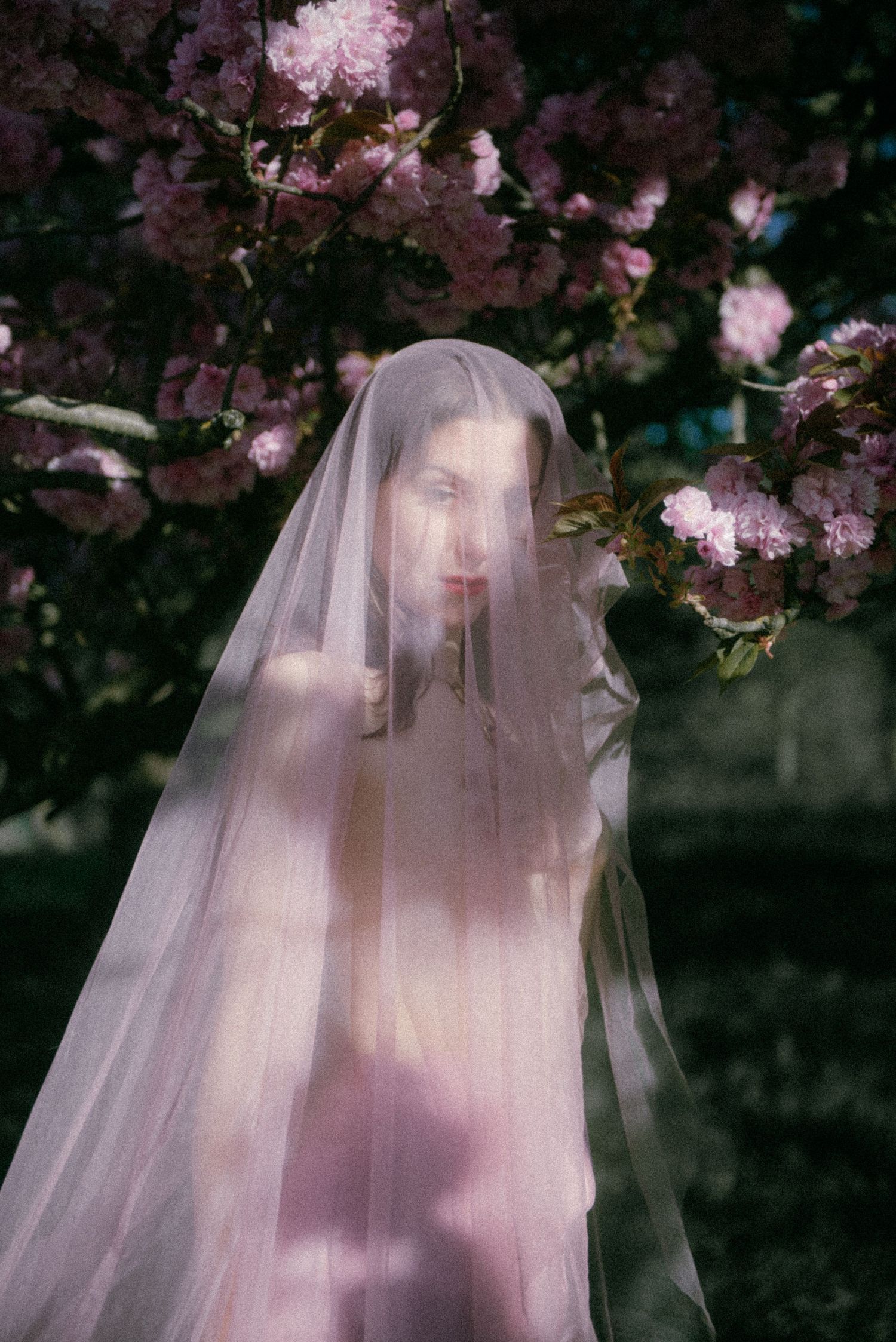 Editorial bridal portrait beneath cherry blossoms in Paris, soft cinematic light and romantic wedding photography by Studio Reverie.