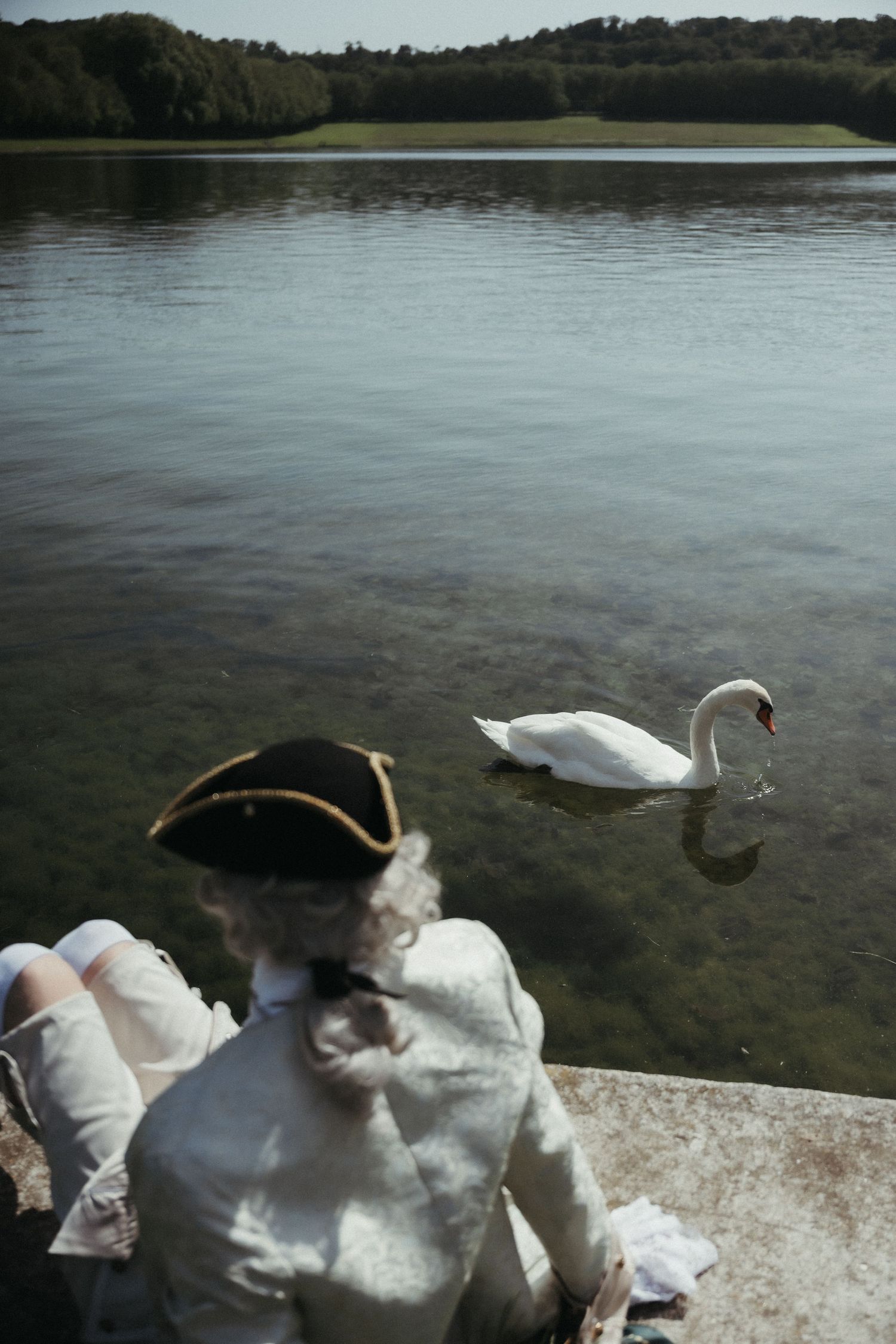 Person in 18th-century costume with tricorn hat watches a white swan gliding on a calm lake near a stone balustrade.
