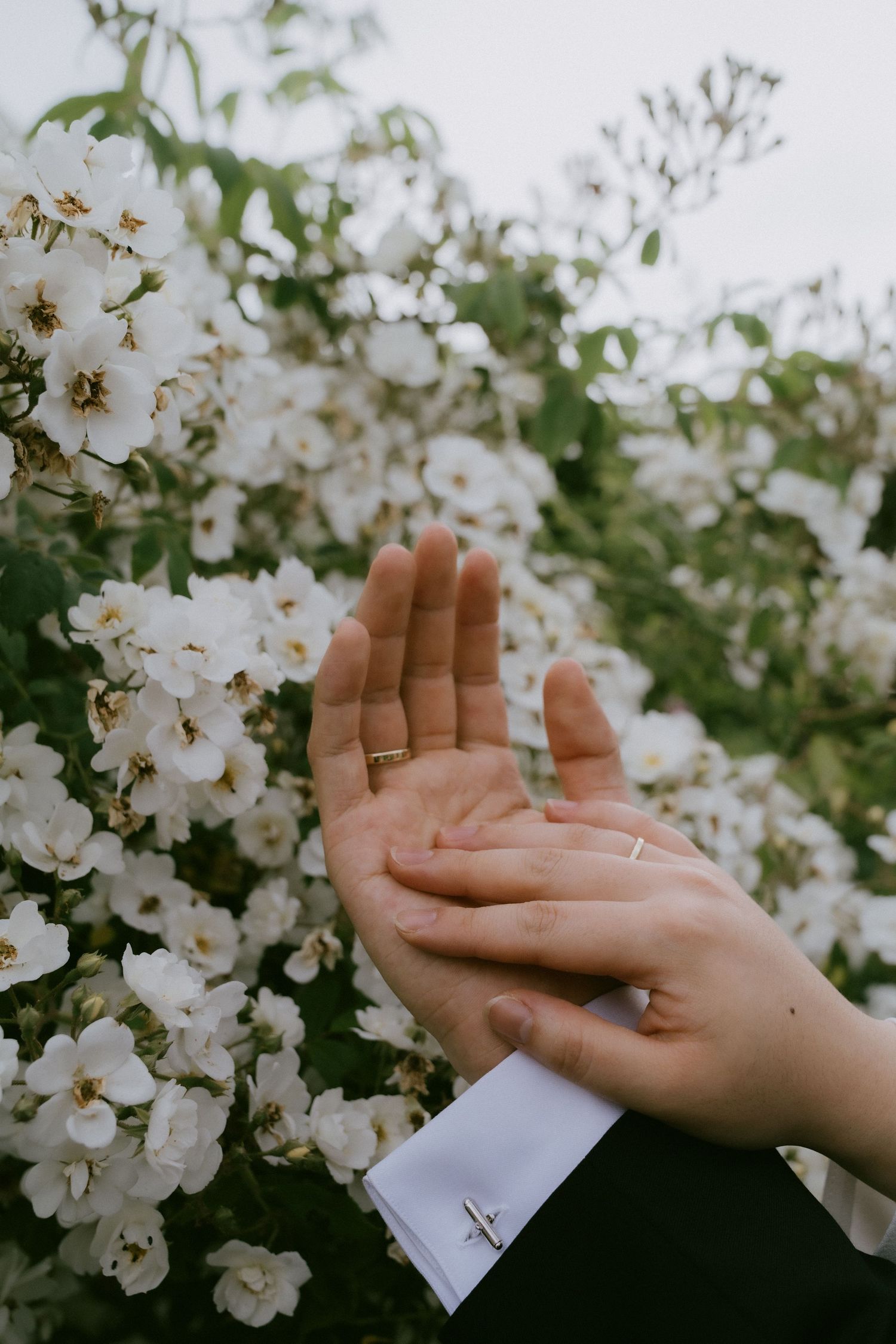 Hands with wedding rings reach toward delicate white flowers blooming in a garden.